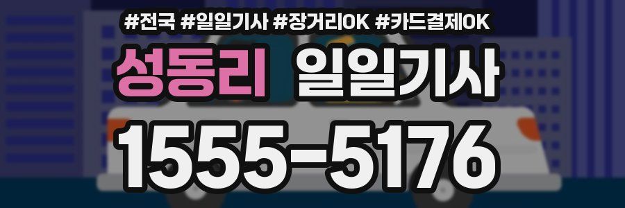 성동리 일일기사