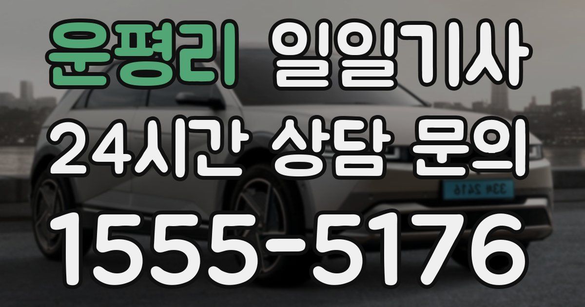 일일대리기사