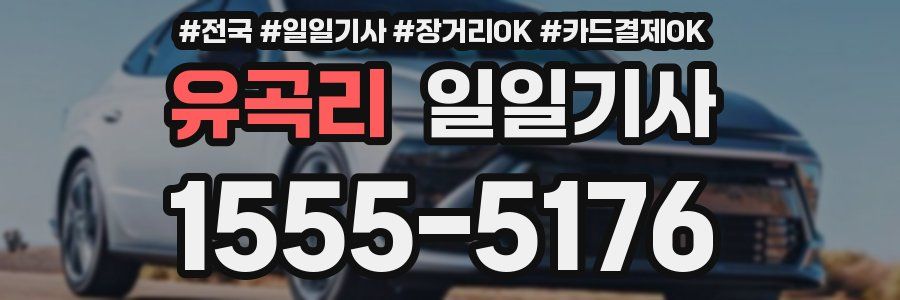 유곡리 일일기사