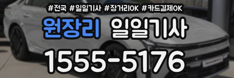 원장리 일일기사