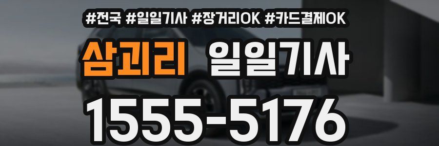 삼괴리 일일기사
