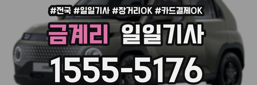금계리 일일기사