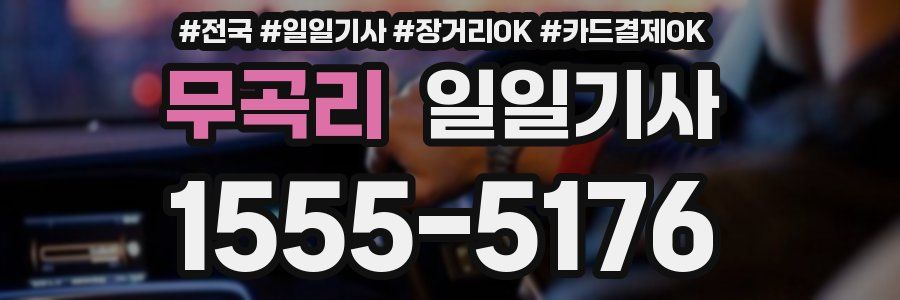 무곡리 일일기사