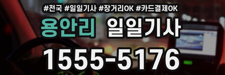 용안리 일일기사