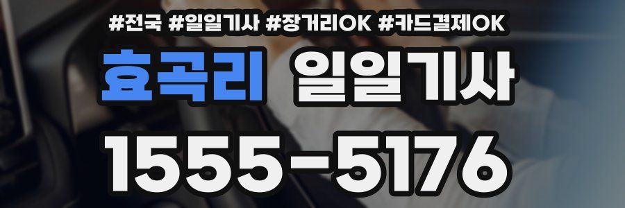 효곡리 일일기사