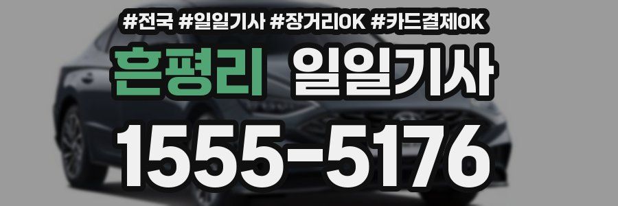 흔평리 일일기사