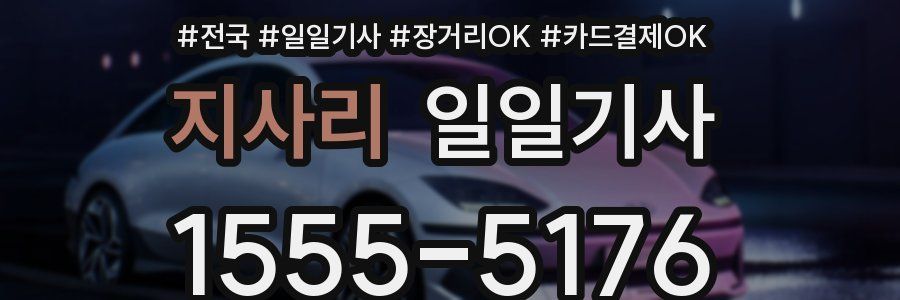 지사리 일일기사