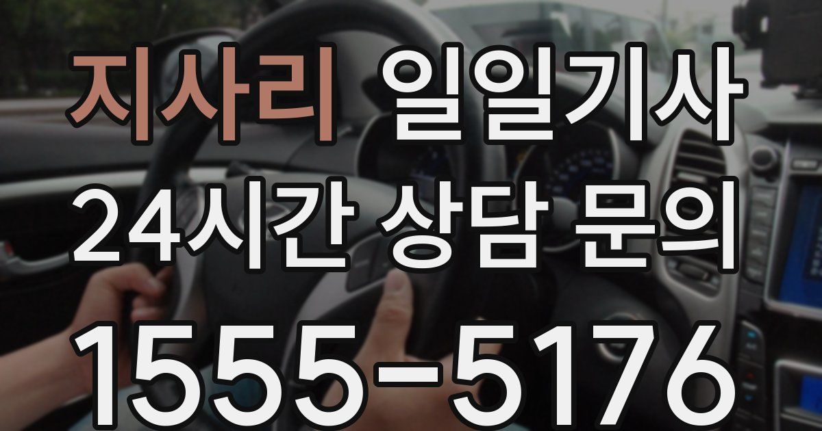 일일대리기사