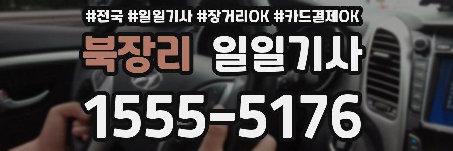 북장리 일일기사