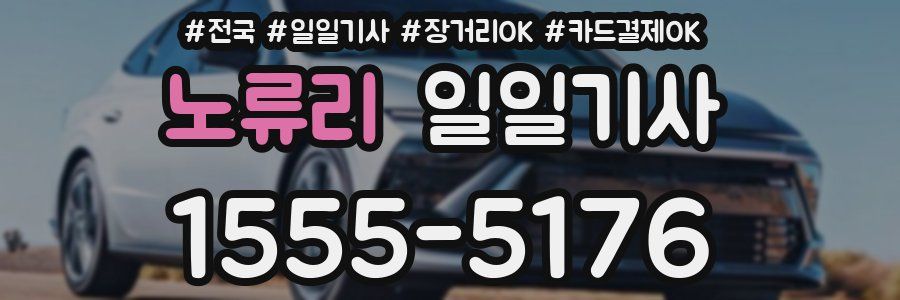 노류리 일일기사