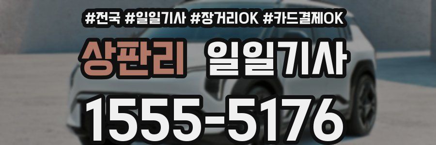 상판리 일일기사