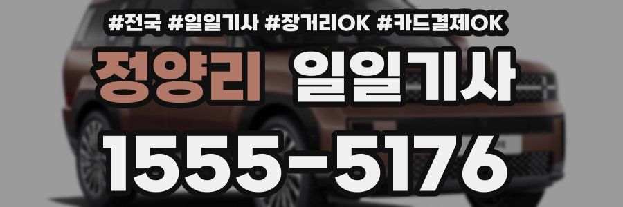 정양리 일일기사