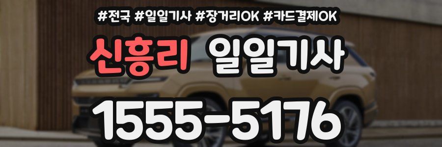 신흥리 일일기사