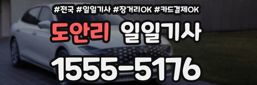 도안리 일일기사