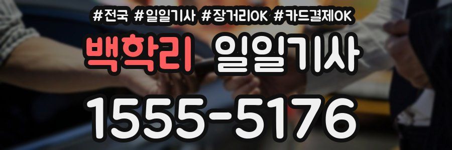 백학리 일일기사