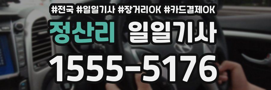 정산리 일일기사