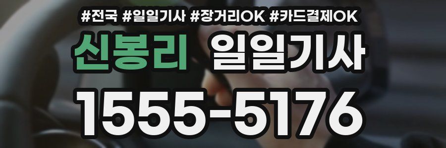 신봉리 일일기사