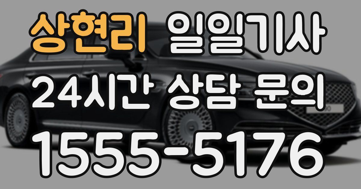 일일대리기사