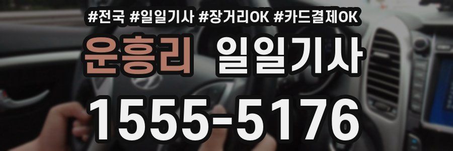 운흥리 일일기사