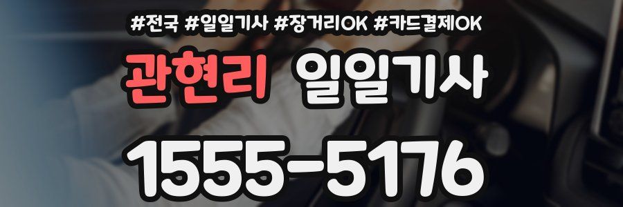 관현리 일일기사