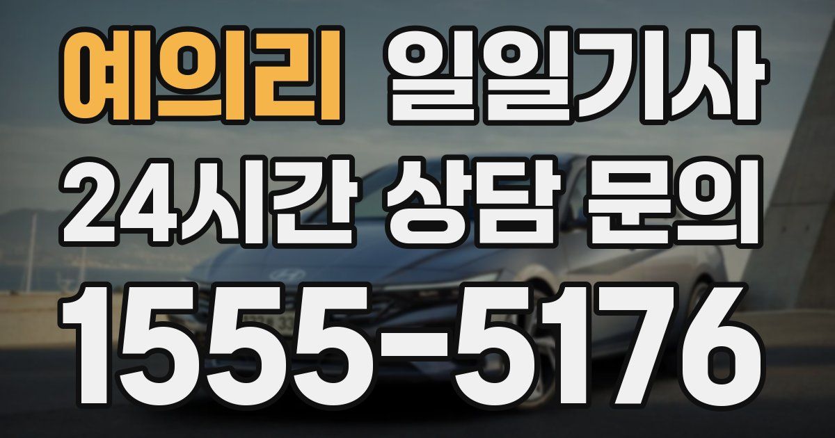 일일대리기사