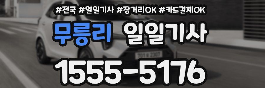 무릉리 일일기사