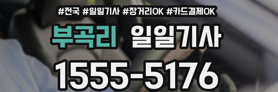 부곡리 일일기사