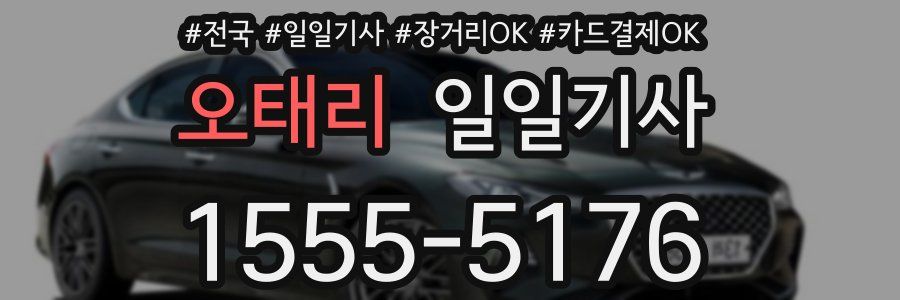 오태리 일일기사