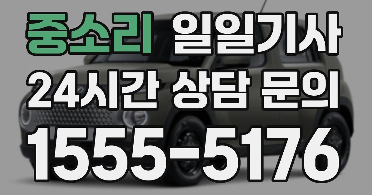 일일대리기사