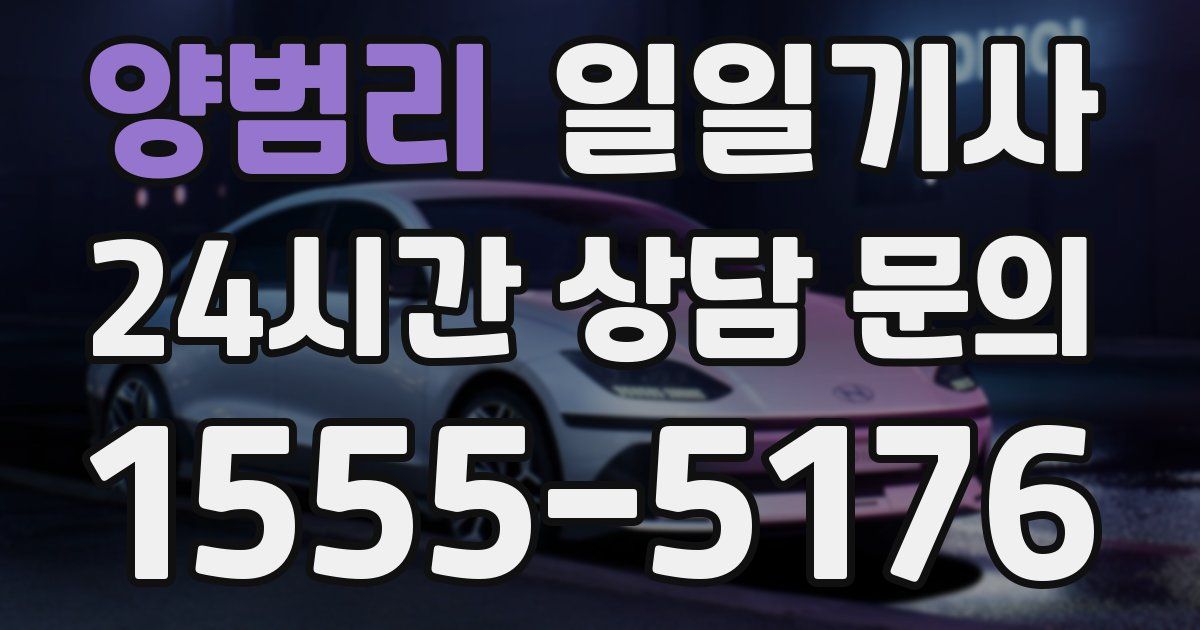 일일대리기사