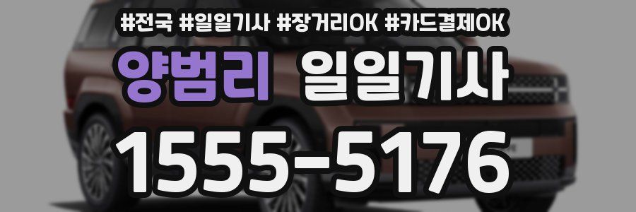 양범리 일일기사