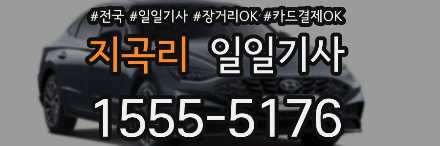 지곡리 일일기사