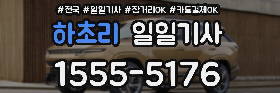 하초리 일일기사