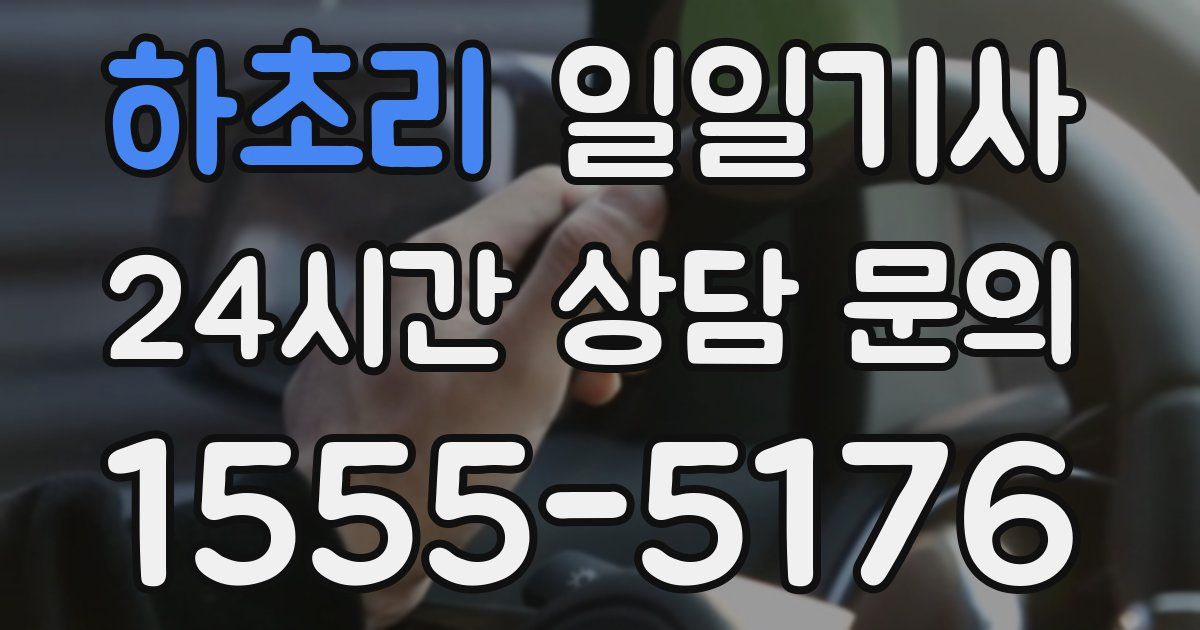일일대리기사
