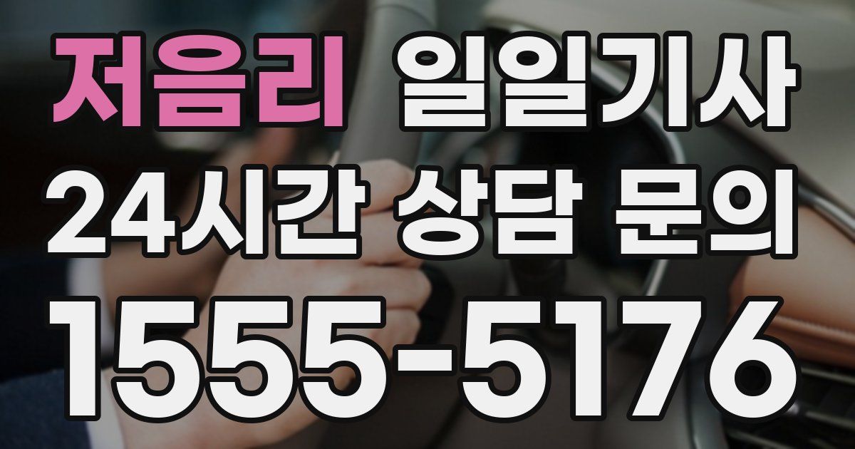 일일대리기사