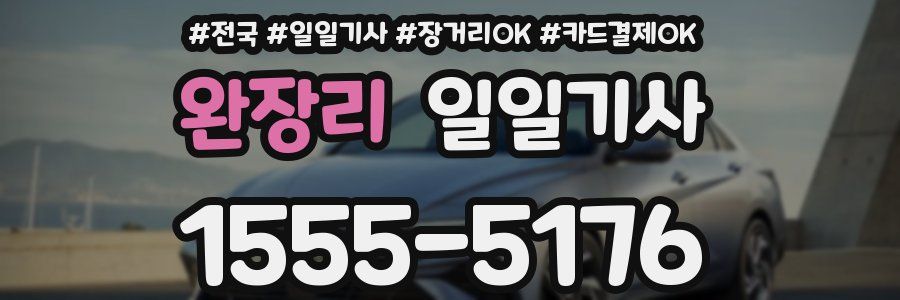 완장리 일일기사