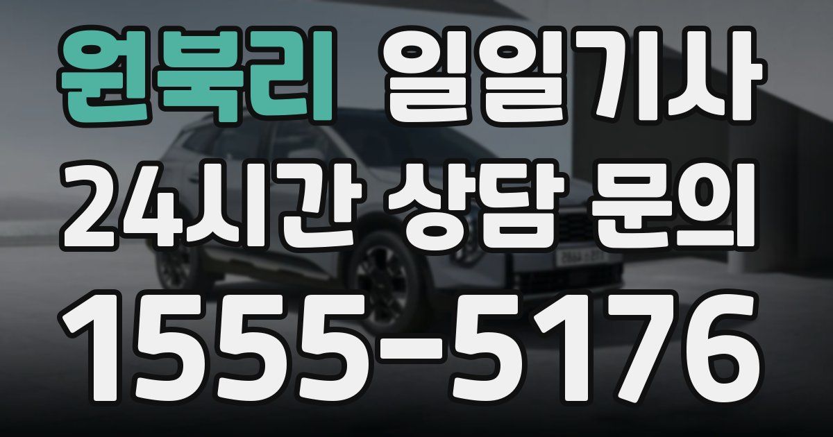 일일대리기사