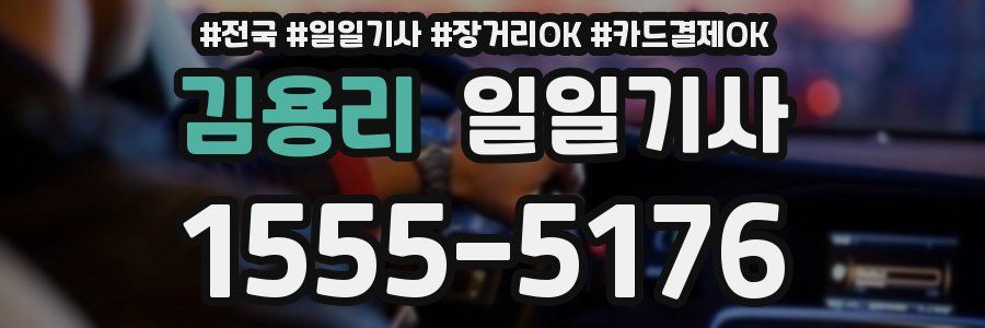 김용리 일일기사