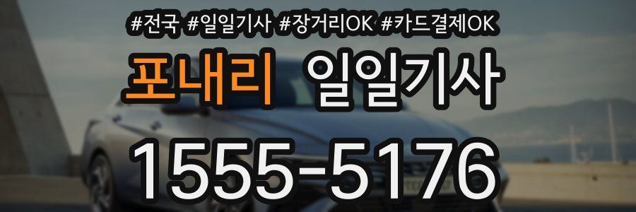 포내리 일일기사