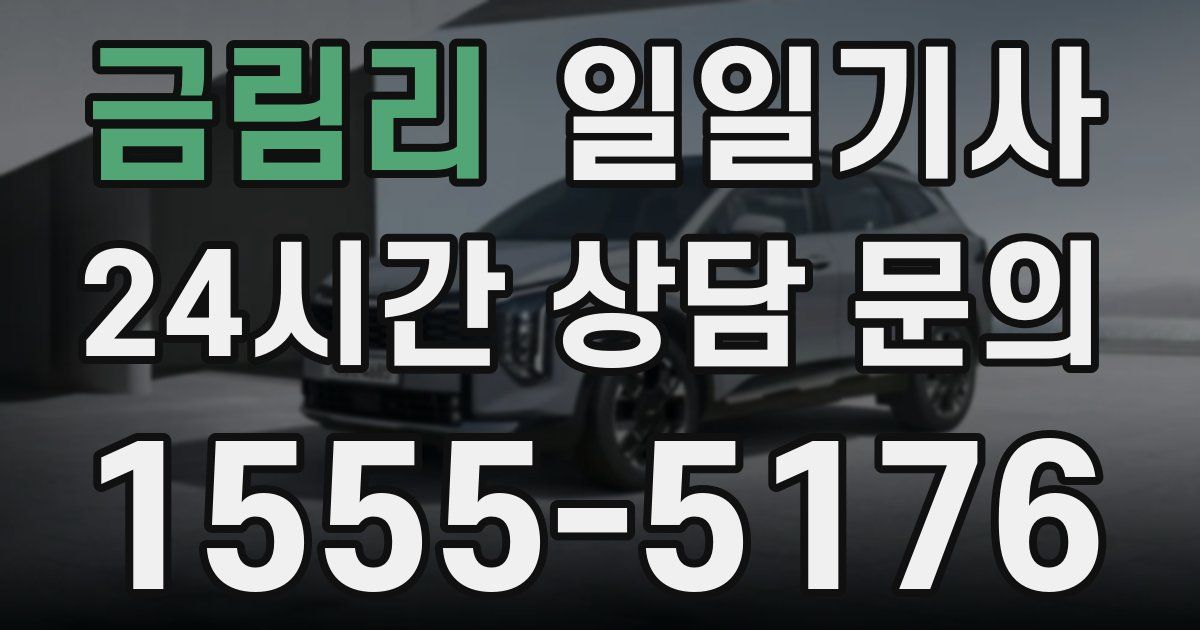 일일대리기사