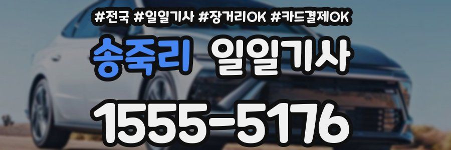 송죽리 일일기사