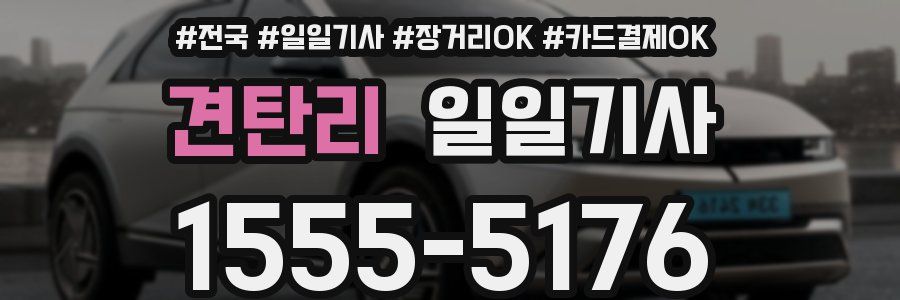 견탄리 일일기사