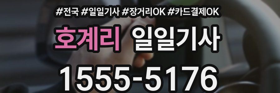 호계리 일일기사