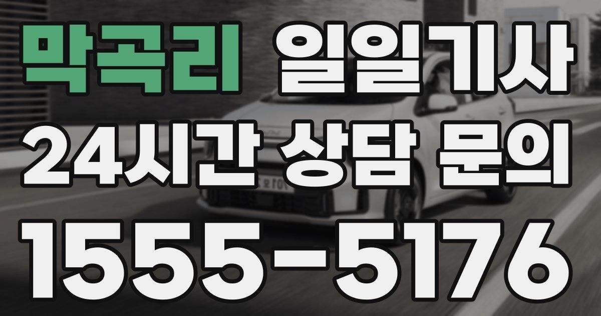 일일대리기사