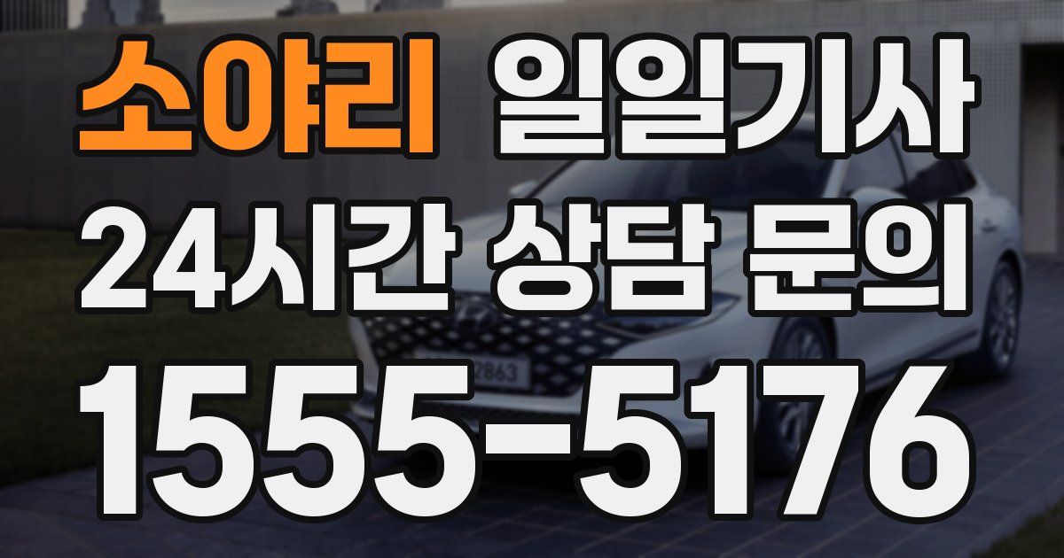일일대리기사