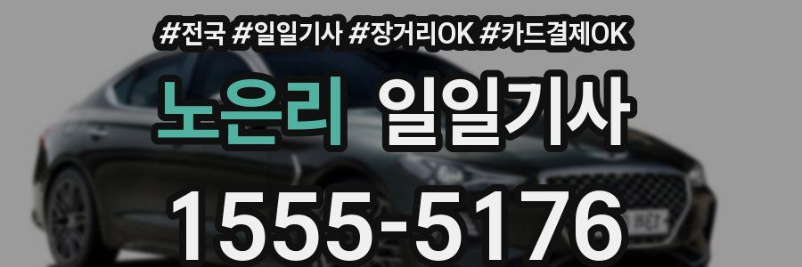 노은리 일일기사