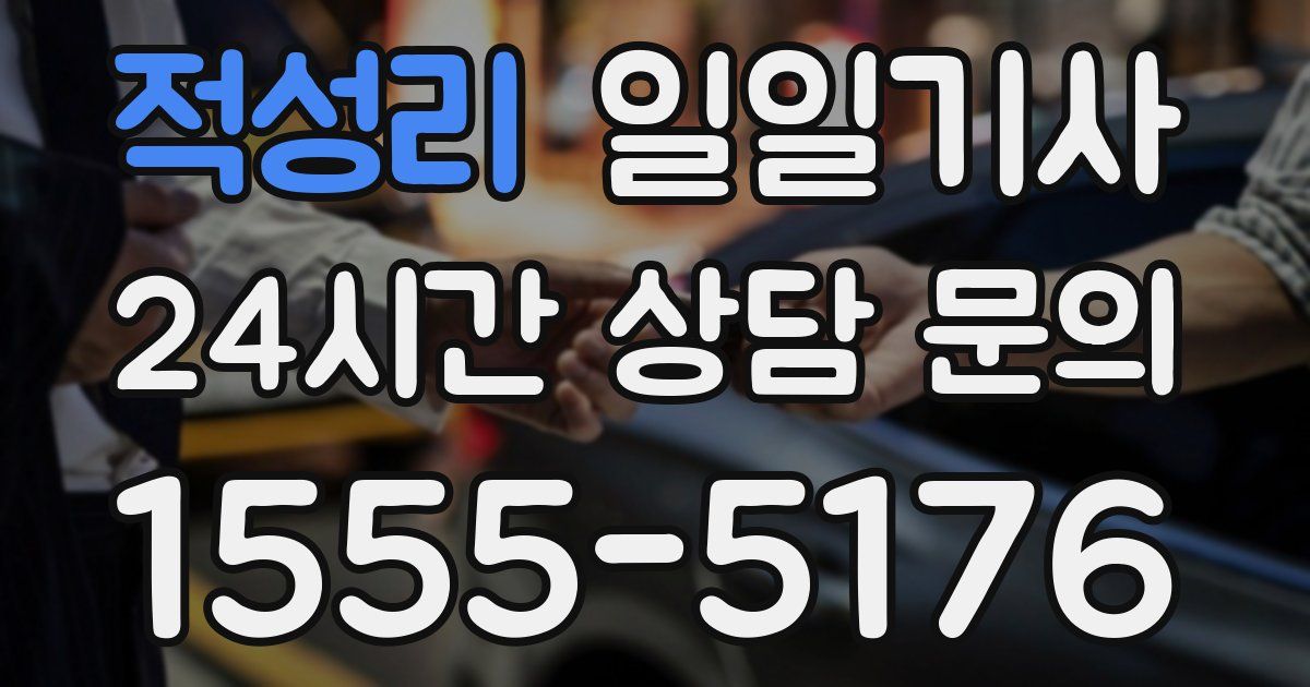 일일대리기사