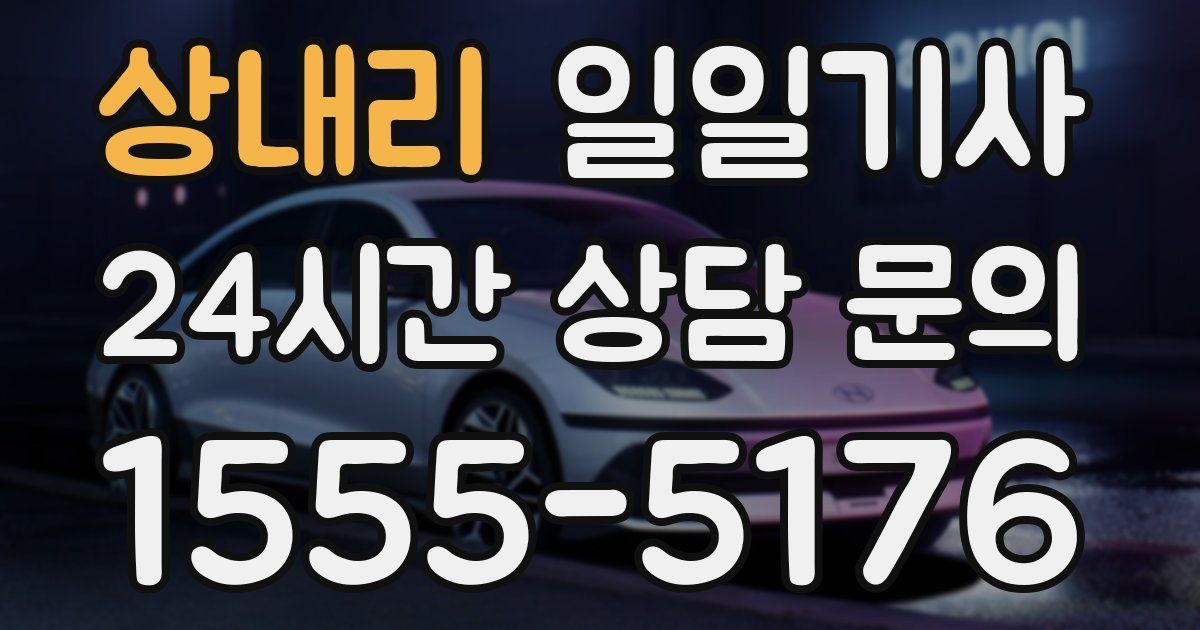 일일대리기사