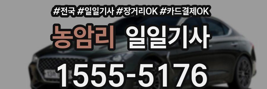 농암리 일일기사