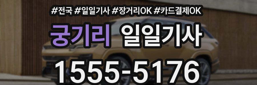 궁기리 일일기사